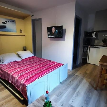 Studio Calme Pour 4 Pers. Vue Exceptionnelle Bagnères-de-Luchon المظهر الخارجي الصورة