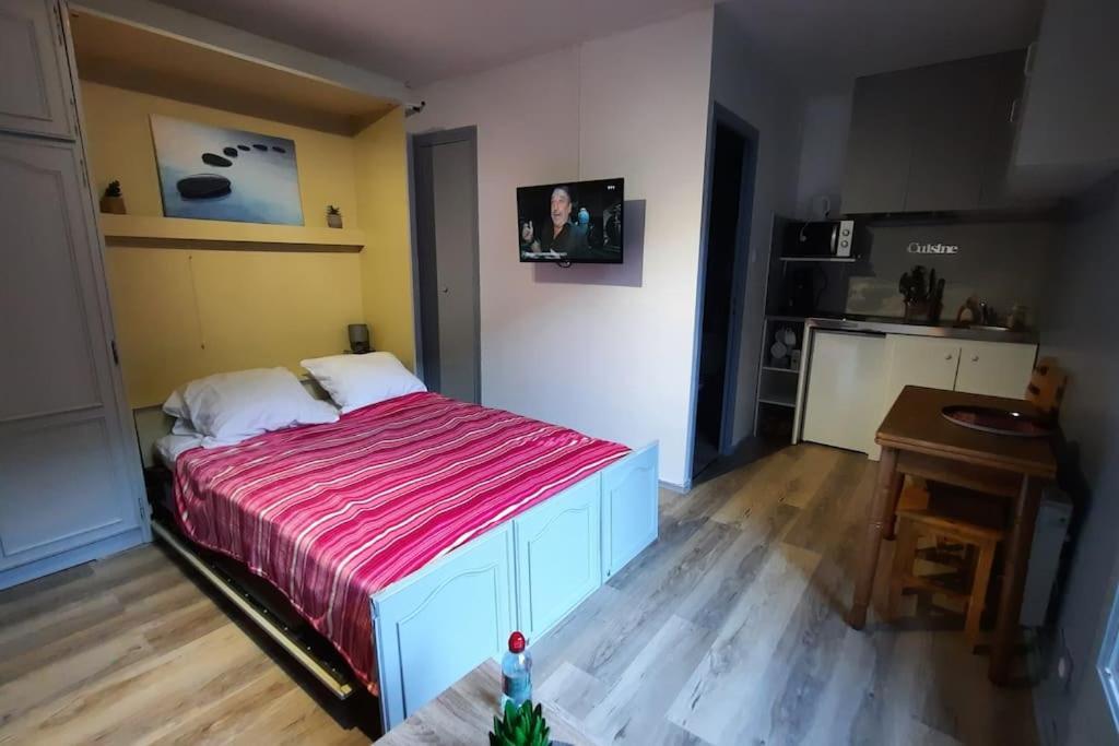 Studio Calme Pour 4 Pers. Vue Exceptionnelle Bagnères-de-Luchon المظهر الخارجي الصورة